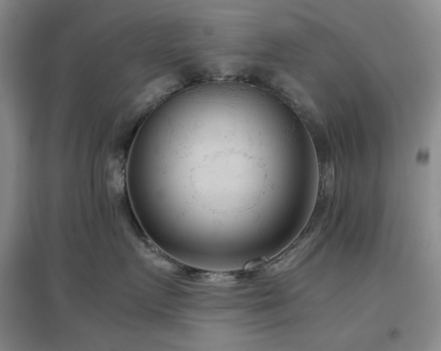 X0000097500719200802221444