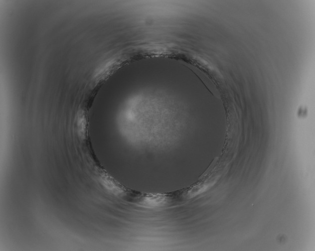 X0000097500720200802221444