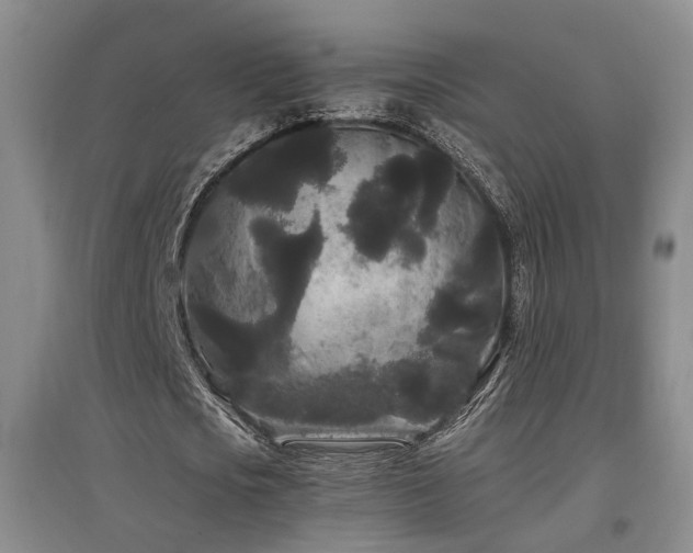 X0000097500721200802221444
