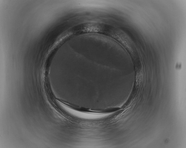 X0000097500722200802221444