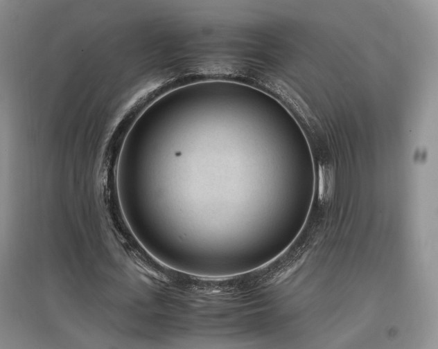 X0000097500723200802221444