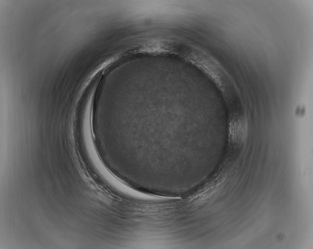X0000097500724200802221444