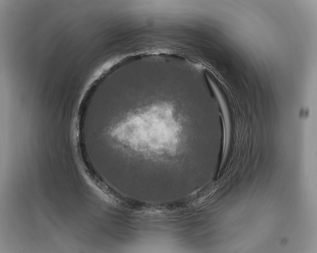 X0000097500726200802221444