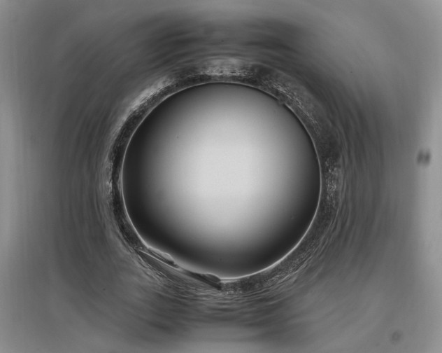 X0000097500727200802221444