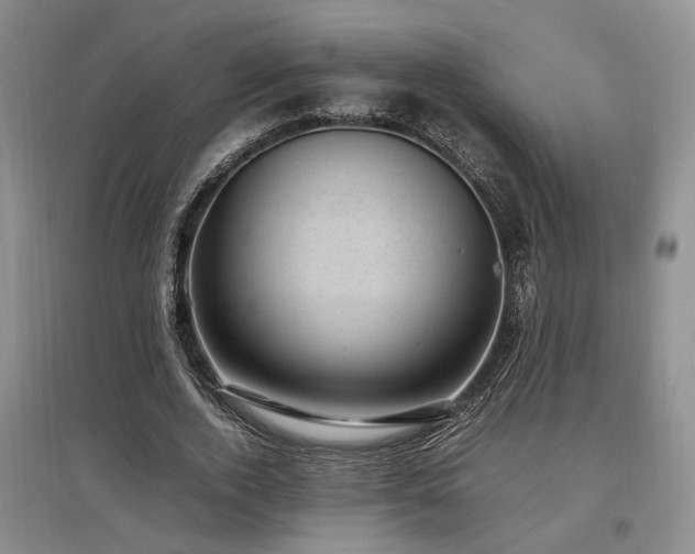 X0000097500728200802221444