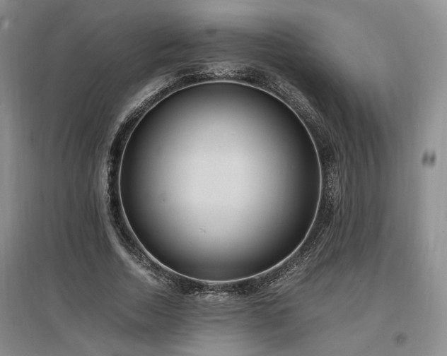 X0000097500730200802221444