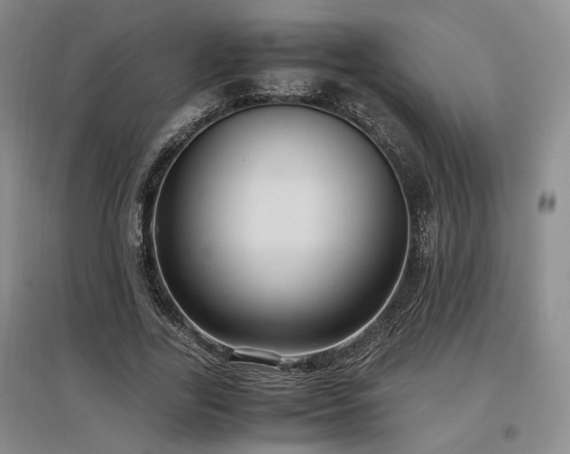 X0000097500731200802221444