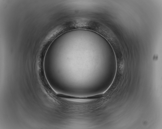X0000097500732200802221444