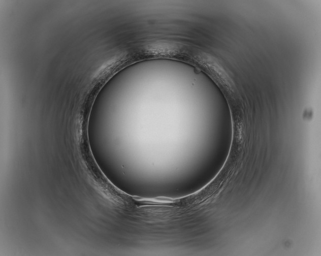 X0000097500733200802221444
