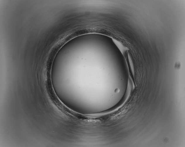 X0000097500734200802221444