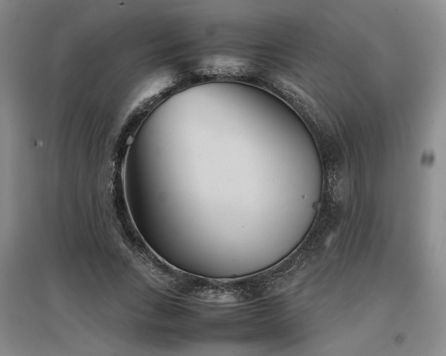 X0000097500735200802221444