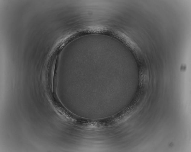 X0000097500736200802221444