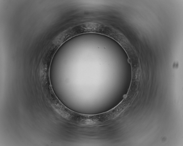 X0000097500737200802221444
