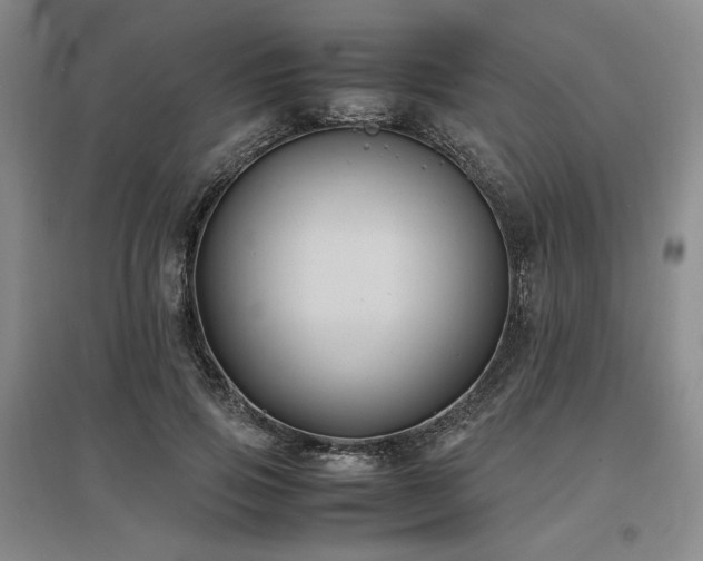 X0000097500741200802221444