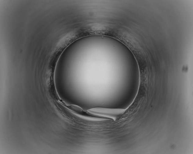 X0000097500742200802221444