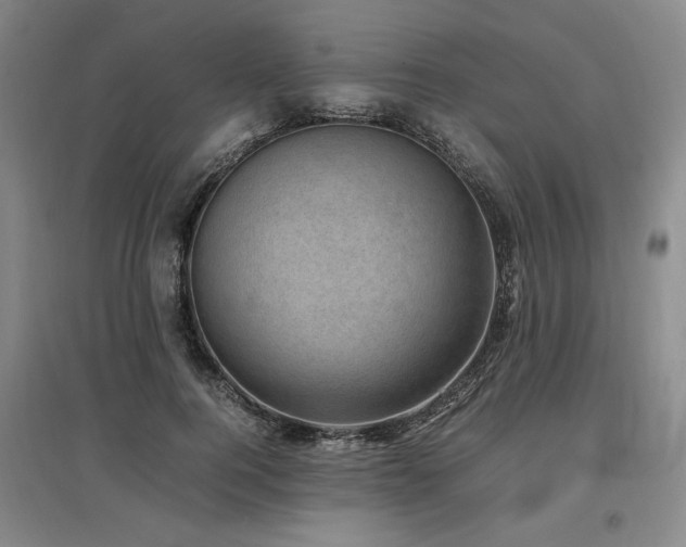 X0000097500744200802221444