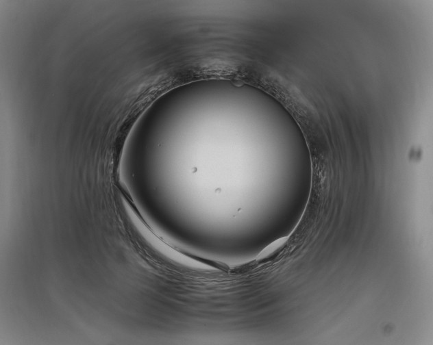X0000097500745200802221444