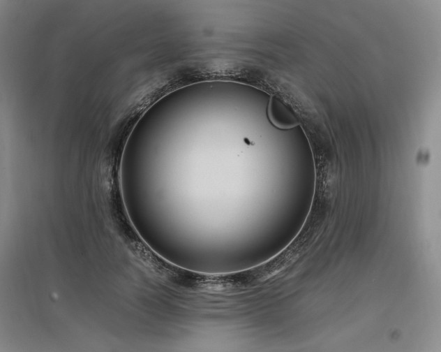 X0000097500746200802221444