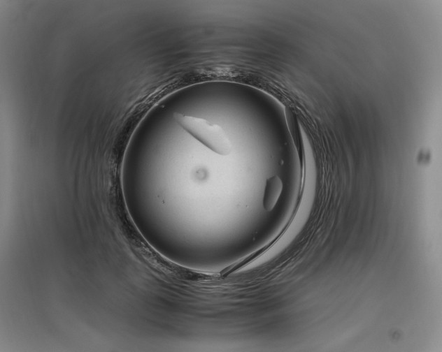 X0000097500747200802221444