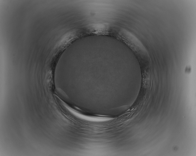 X0000097500748200802221444