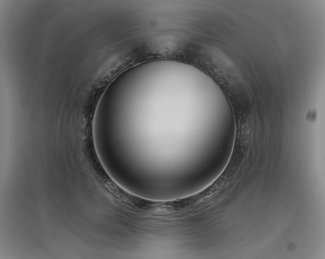 X0000097500750200802221444