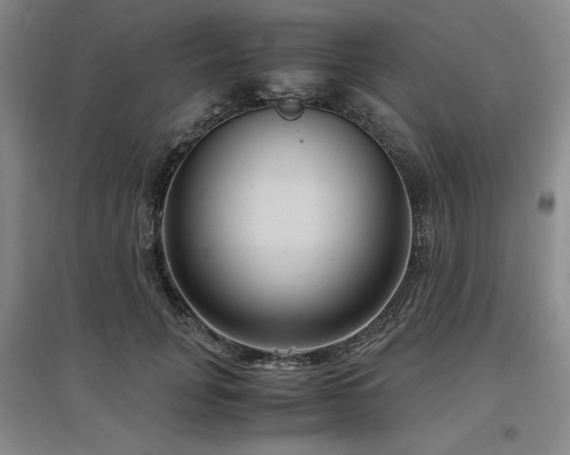 X0000097500751200802221444
