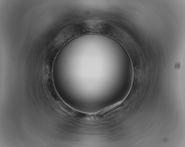 X0000097500752200802221444