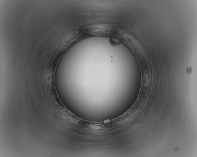 X0000097500753200802221444