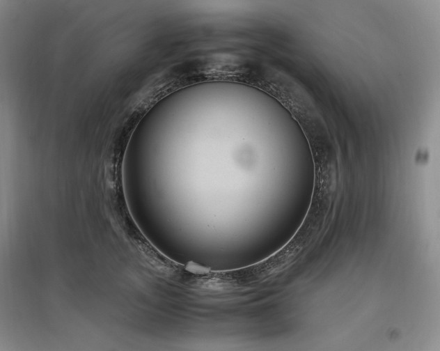 X0000097500755200802221444