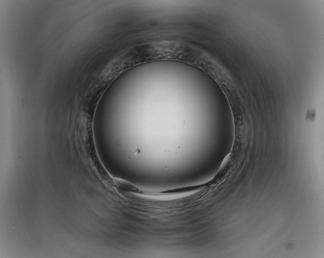 X0000097500757200802221444