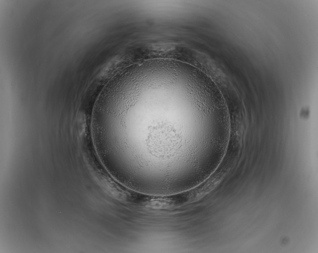 X0000097500758200802221444