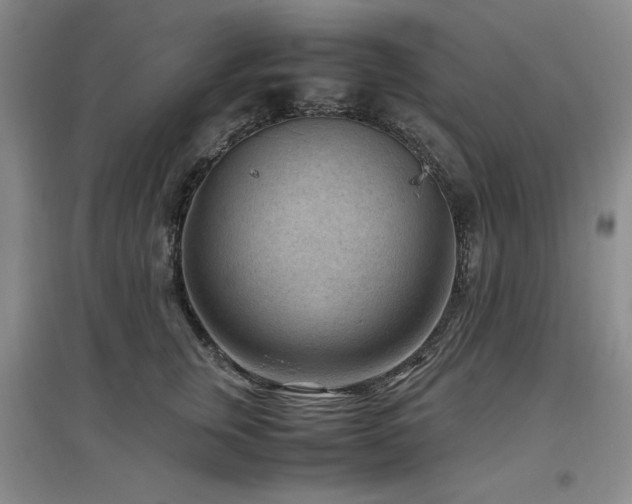 X0000097500759200802221444