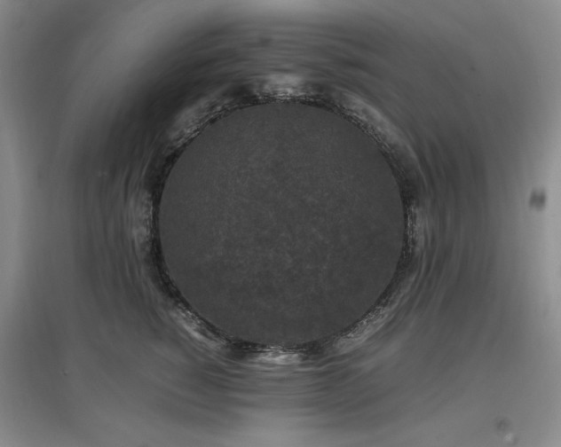 X0000097500760200802221444