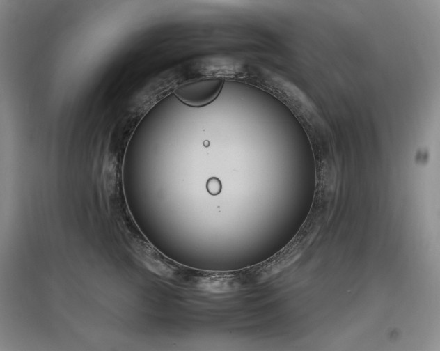 X0000097500761200802221444