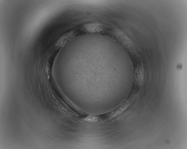 X0000097500762200802221444