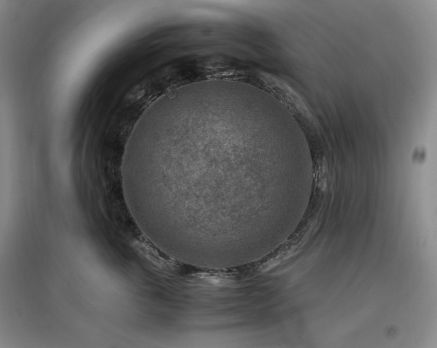 X0000097500763200802221444