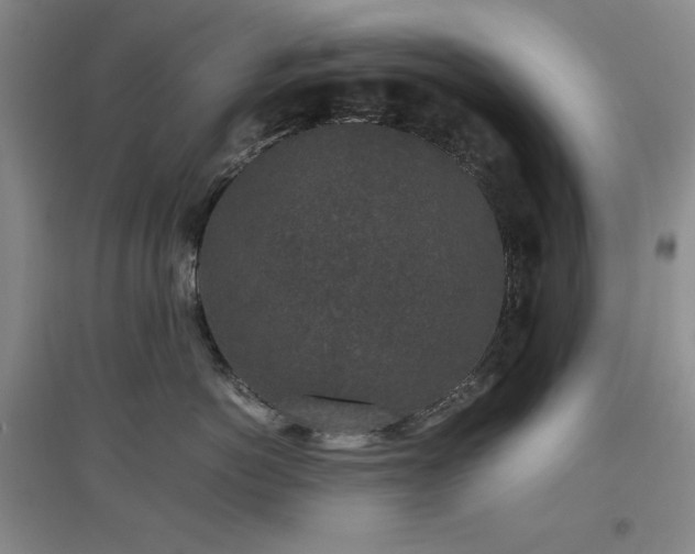 X0000097500766200802221444