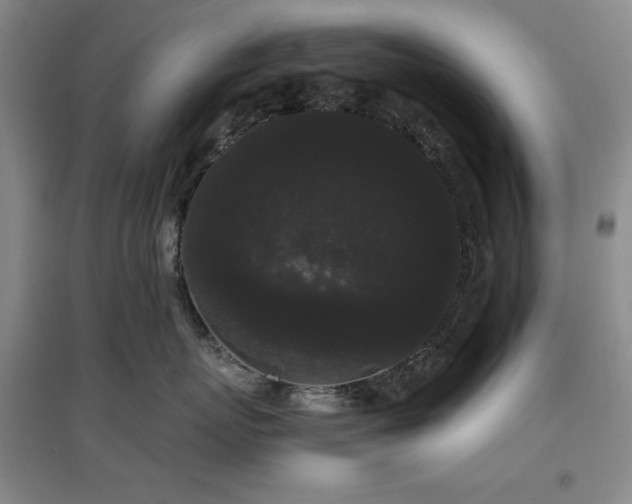 X0000097500767200802221444