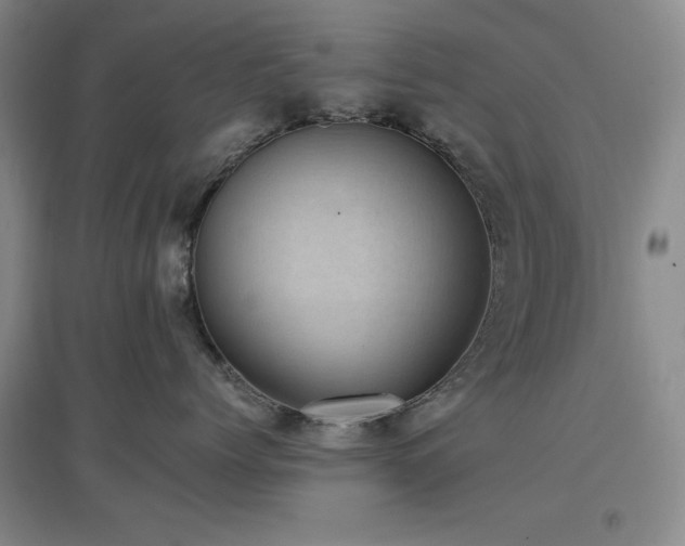X0000097500768200802221444