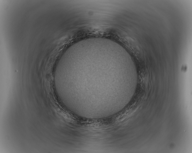 X0000097500769200802221444