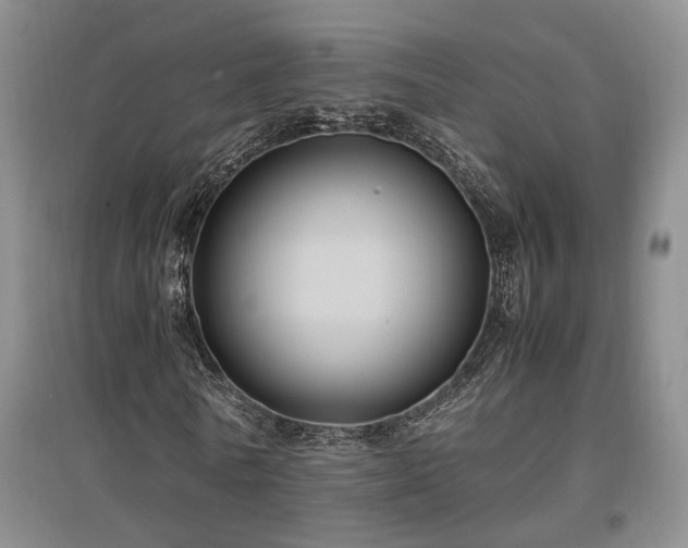 X0000097500770200802221444