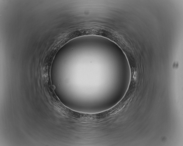 X0000097500771200802221444