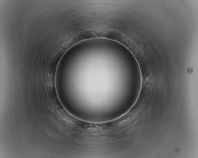 X0000097500772200802221444
