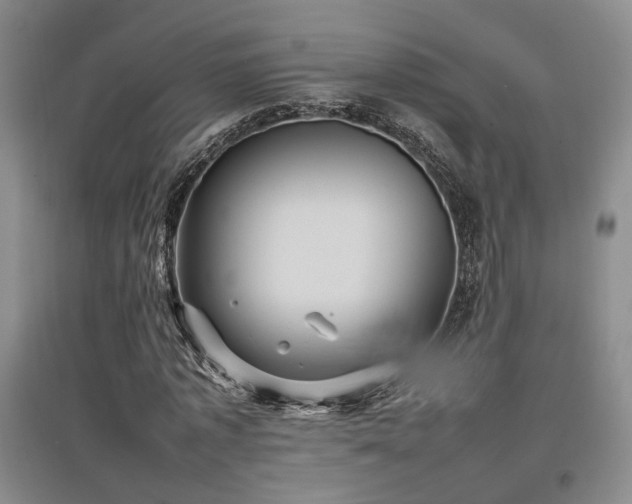 X0000097500773200802221444