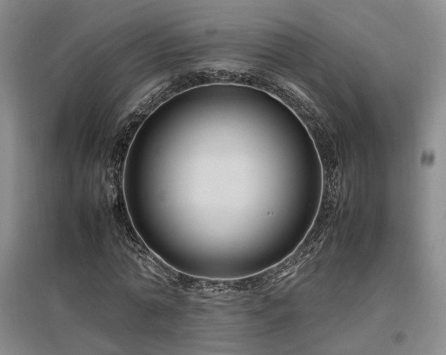 X0000097500774200802221444