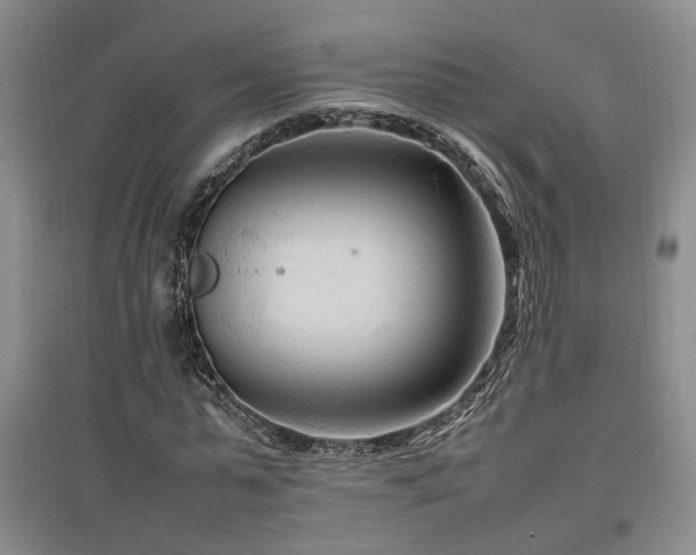 X0000097500775200802221444