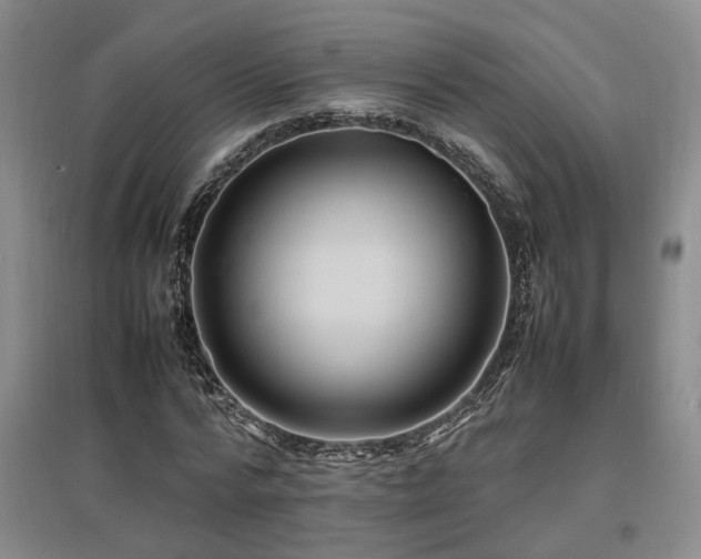 X0000097500776200802221443