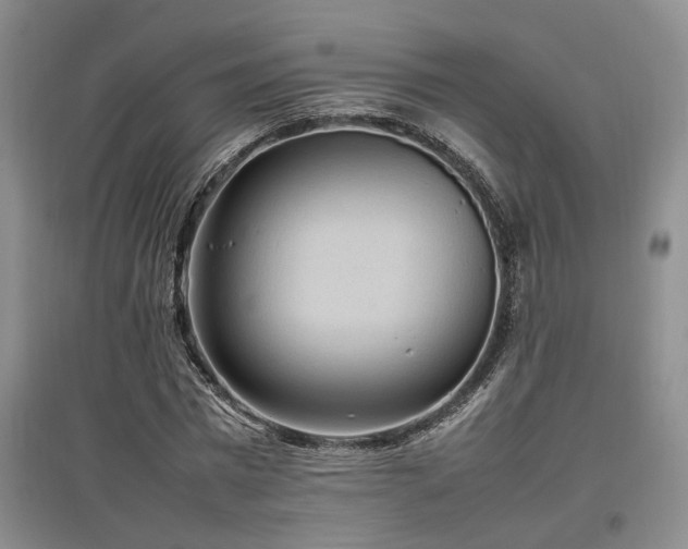 X0000097500777200802221443