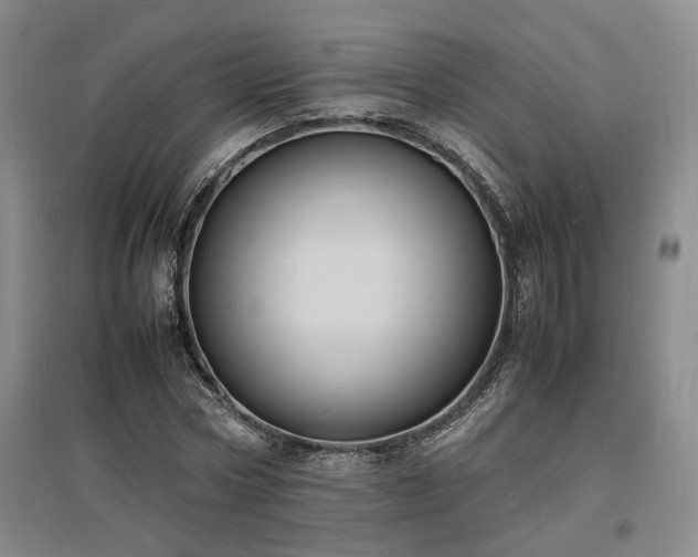 X0000097500778200802221443