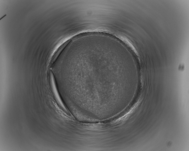 X0000097500781200802221443